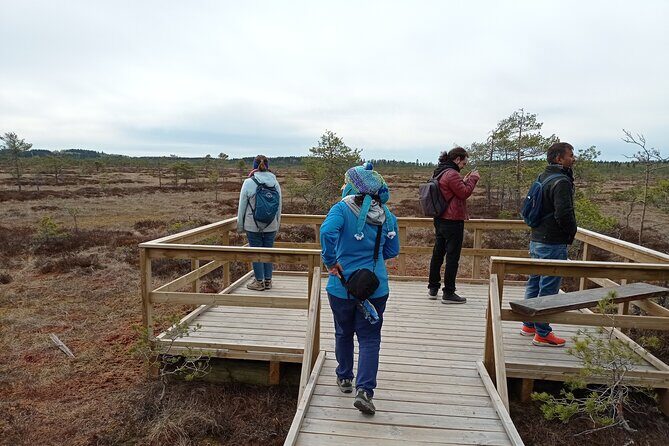 Hiking Experience in Torronsuo National Park With Backpacker Helsinki Tour