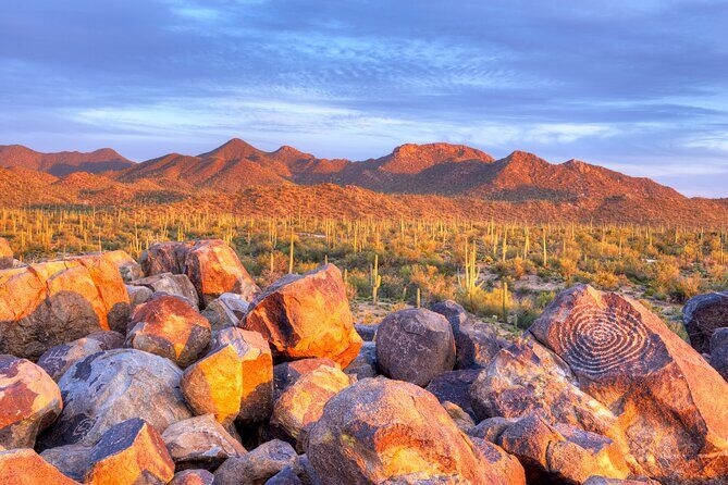 Self-Guided Saguaro National Park Driving Tour