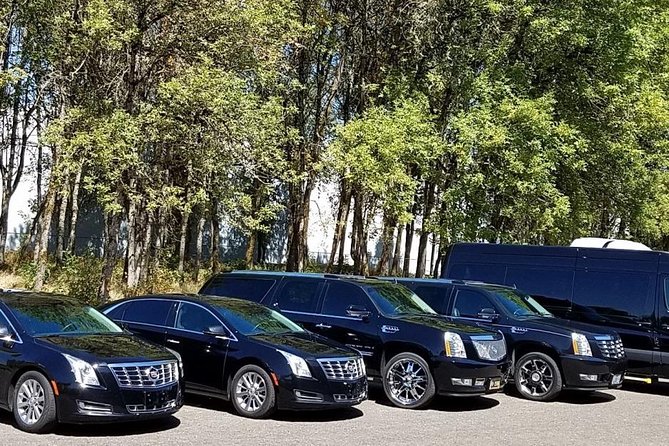 Da Nang Airport Arrival Or Departure By Private Transfers - Overview of Private Transfers