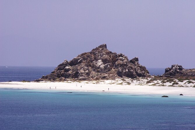 Dama Island or Chañaral Navigation Tour Humboldt Penguin Reserve - Good To Know