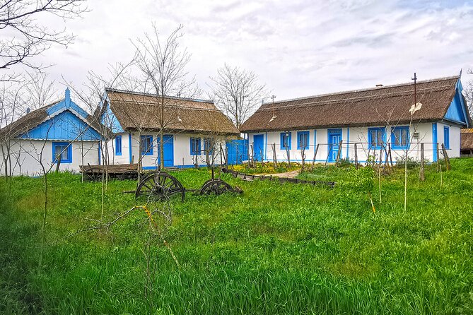 Danube Delta PRIVATE Boat Trip to Letea Forest (Guided Tour) - Tour Overview