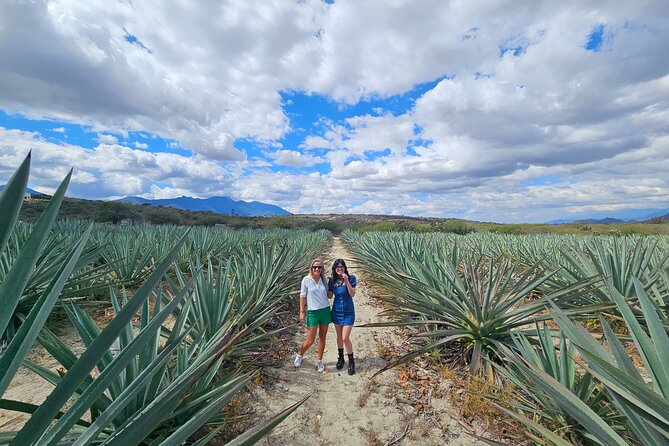Danzantes Premium Mezcal, Hierve El Agua, Textiles & Lunch - Key Points