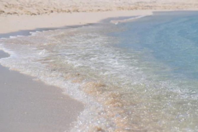 Day At The Beach With Lunch And Drinks for Cruise Guests - Key Points