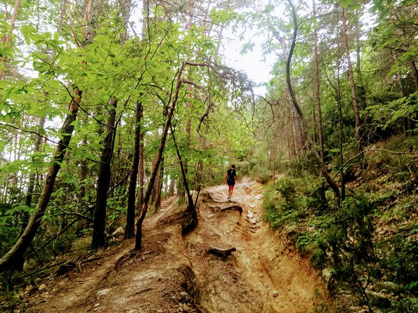 Day Hike in the Mountains of Sanremo - Good To Know