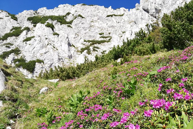 Day Hike PRIVATE - Piatra Craiului National Park - Overview of the Hike Experience