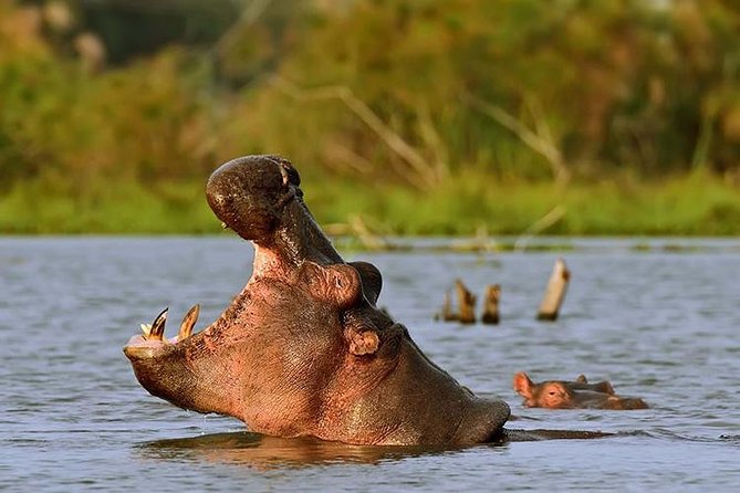 Day Tour to Hells Gate and Optional Boat Ride at Lake Naivasha - Good To Know