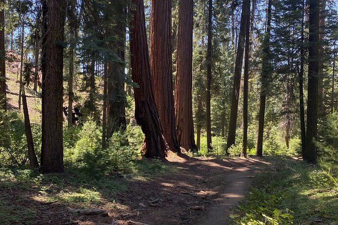 Day Tour to Kings Canyon National Park - Good To Know