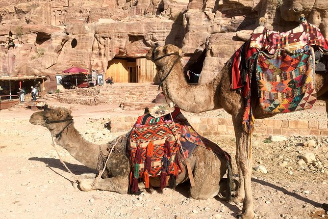 Day Tour to Petra From Aqaba - Key Points