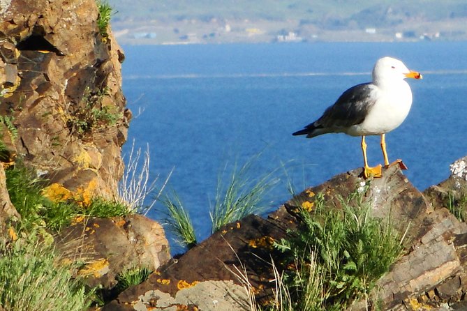 Day Tour to Sevan Lake, Tsakhkadzor Rope Way and Kecharis Monastery in Armenia - Good To Know