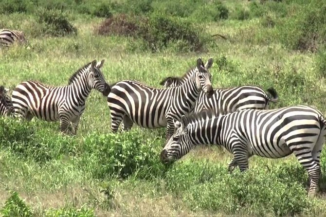 Day Trip -Hells Gate & Lake Naivasha With Boat Ride From Nairobi - Scenic Highlights