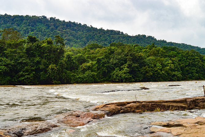 Day Trip to Athirappilly Water Falls From Kochi. - Good To Know