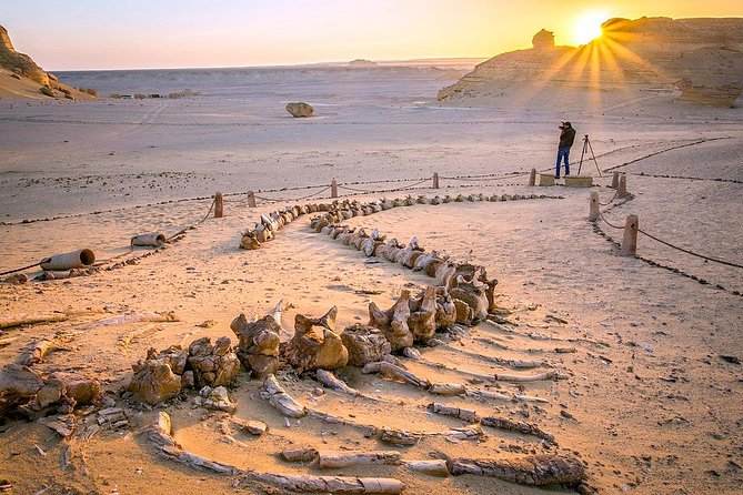 Day Trip to Valley of Whales From Cairo - Wadi El Hitan - Good To Know
