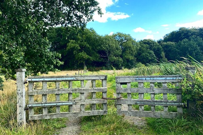 Daytrip Bike Tour on the Swedish Countryside Private - Pricing and Booking Details