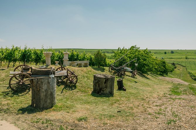 Dealu Mare Wine Country Tour - Lunch Included - Meeting and Pickup