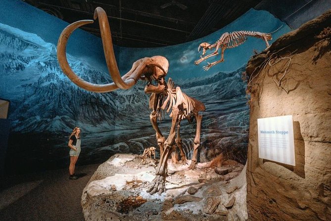 Dinosaur World 1 Day: Drumheller-Badland-Hoodoo-Mine National Historic - Good To Know
