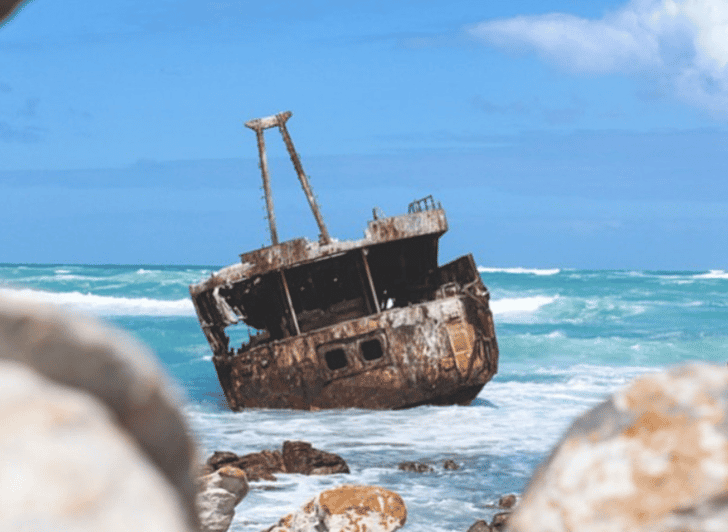 Discover Cape Town: A Luxurious 6-Day Tour Package - Luxury Accommodations and Amenities