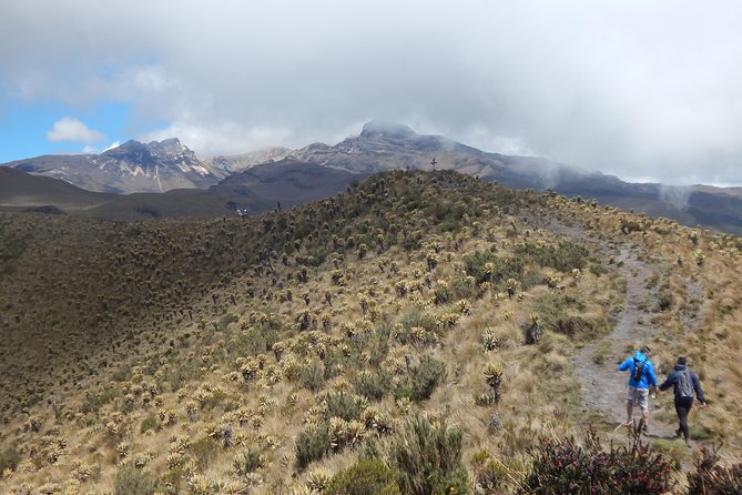 Discover Frailejones in Los Nevados National Natural Park (2 Days) - About Your Stay