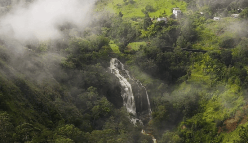 Discover HAPUTALE in a Day: Excursions From Galle,Yala,Kandy - Important Information and Restrictions