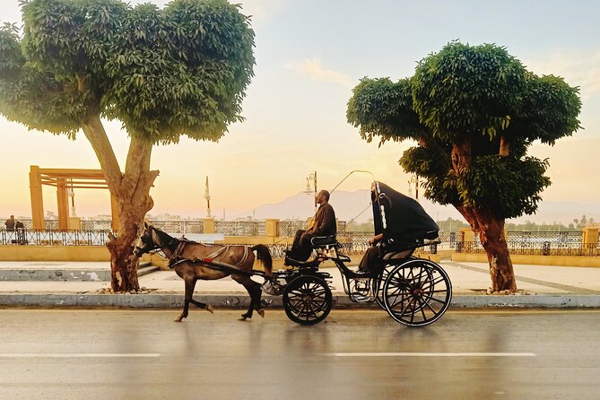 Discover Luxor City Tour by Horse Carriage - Key Points