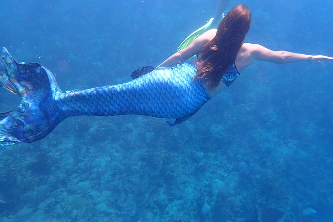 Discover Mermaid Experience in Rincón - Experiencing the Mermaid Transformation