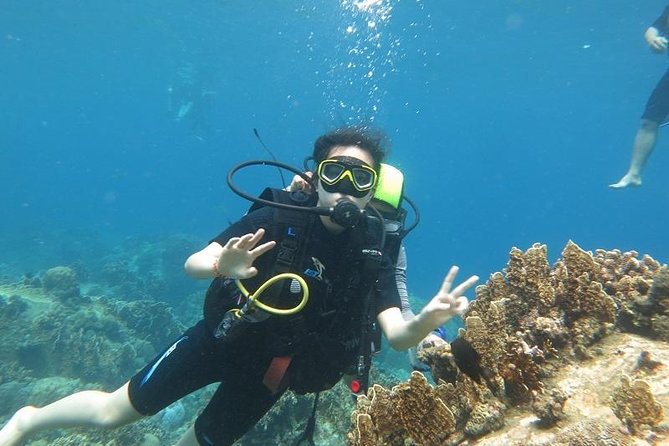 Discover Nha Trang Bay With Scuba Diving Tour - Good To Know