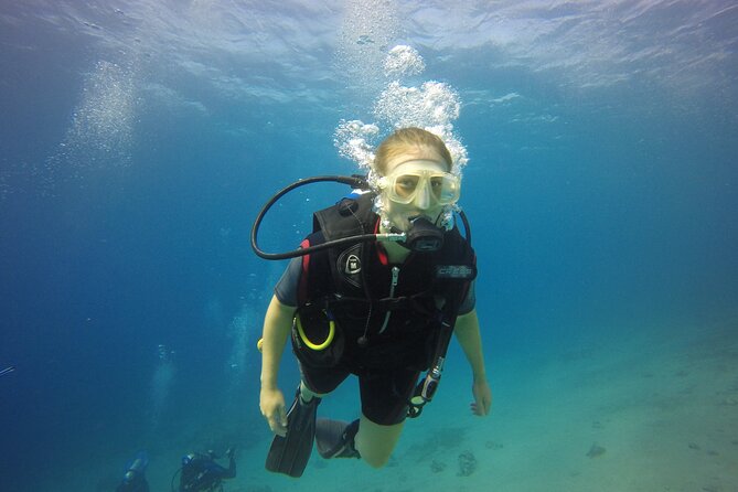 Discover the Depths: Aqabas Ultimate Private Dive Experience - Key Points