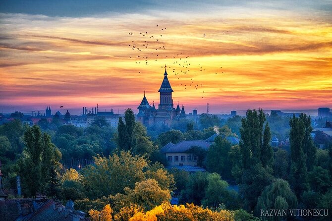 Discover Timisoara by Bicycle - Key Points
