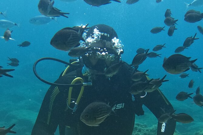 Dive The Rock (Scuba Diving Experience in Protaras) - Good To Know