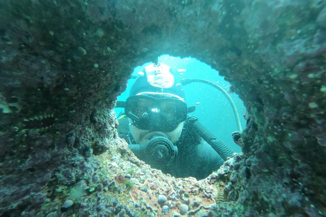 Diving Excursion in Quintay - Good To Know