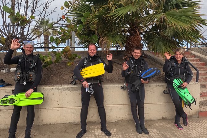 Diving in Los Cristianos, Tenerife - Scheduling and Availability