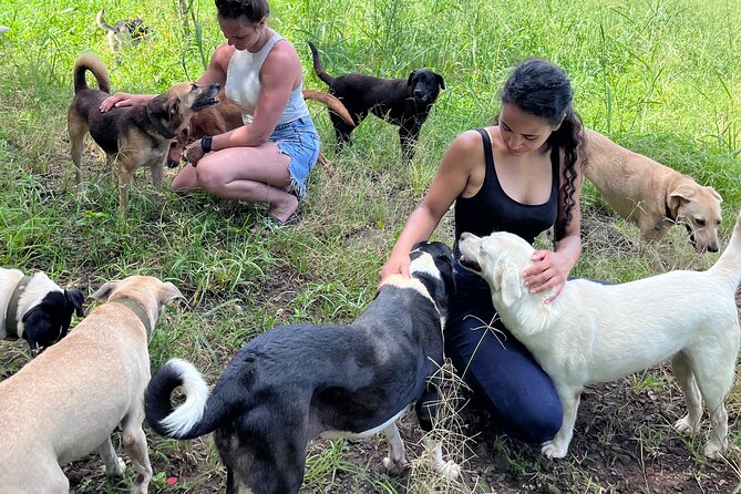 Dog Lovers Guided Tour of the Happy Tails Sanctuary - Good To Know