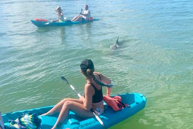 Dolphin and Manatee Kayak Tour of Daytona Beach - Good To Know