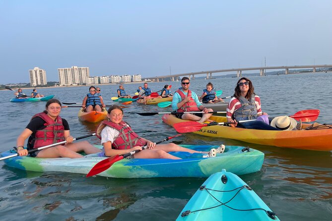 Dolphin Kayak Tour in Virginia Beach Must Know How to Swim - Tour Overview