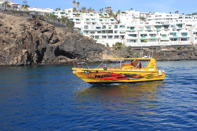 Dolphin Watching Cruise to Lobos Island - Tour Overview