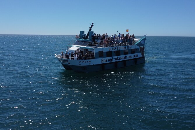 Dolphin Watching on a Catamaran in Fuengirola - Good To Know