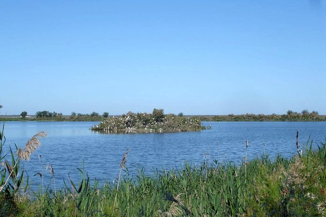Doñana 4x4 and El Rocío Tour - Tour Overview