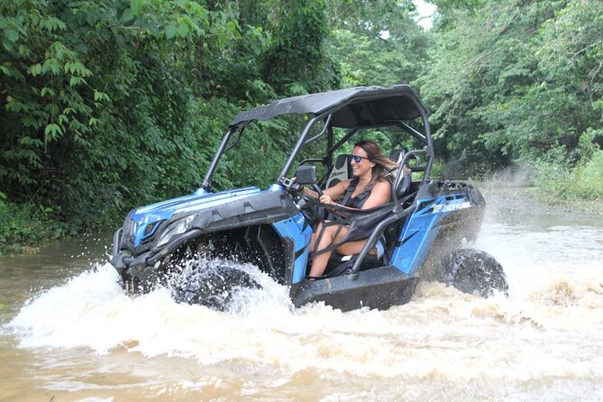 Double Buggy From Samaná - Overview and Details