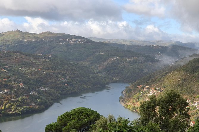 Douro Valley - Lets Go for It. - Winery Visits and Tastings