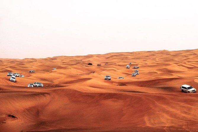 Dubai Desert Safari Red Dune: BBQ, Camel Ride & Sandboarding - Key Points