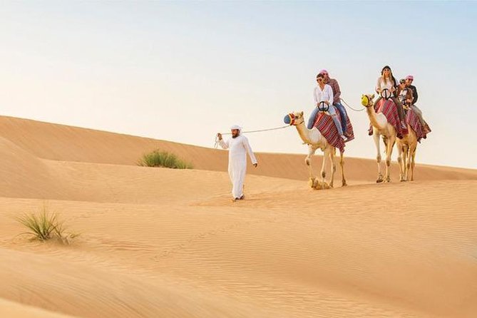Dubai: Desert Safari With Camel Ride & Dune Bashing - Good To Know