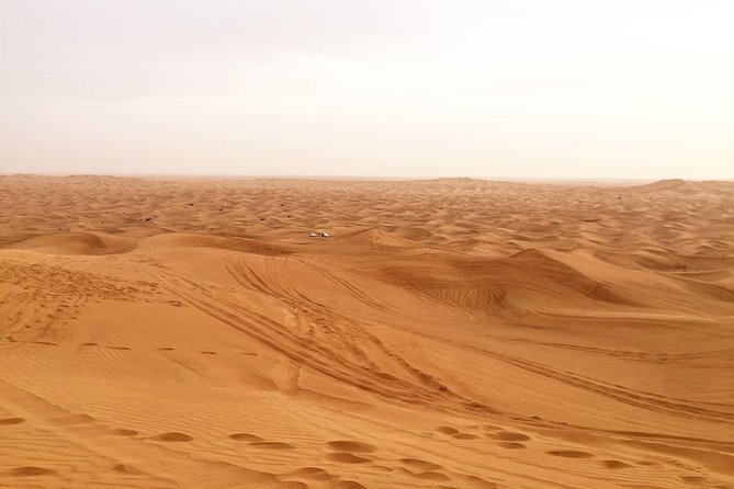 Dubai Morning Desert Small-Group Tour With Dune Bash - Good To Know