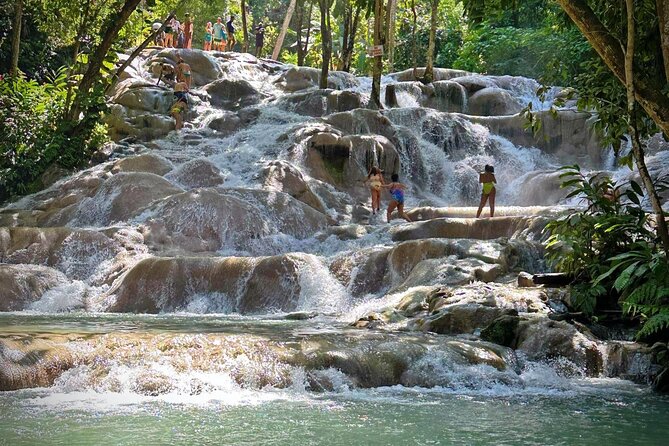 Dunns River Tour - About the Dunns River Tour