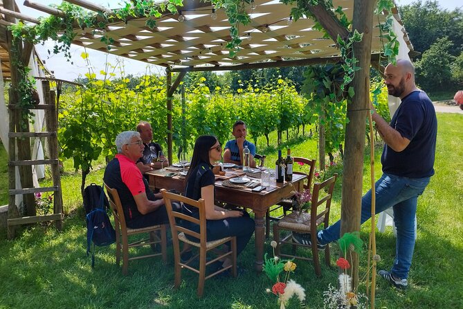 E-Bike and Tour From Lonato Del Garda With Wine Tasting - Good To Know