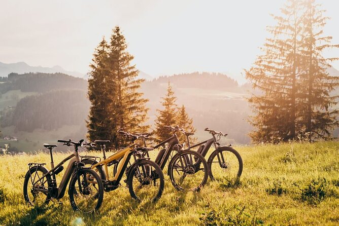 E-Bike Day Trip With Lunch to Harrys Rock or Corfé Castle - Good To Know