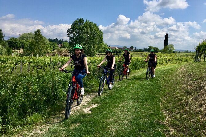 E-Bike Tour and Wine Tasting Review - Key Points