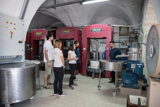 E-Bike Tour in Locorotondo, Oil Mill Visit and EVO Oil Tasting - Overview of the E-Bike Tour