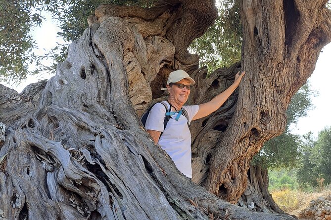 E-Bike Tour in the Plain of the Secular Olive Trees of Ostuni - Good To Know