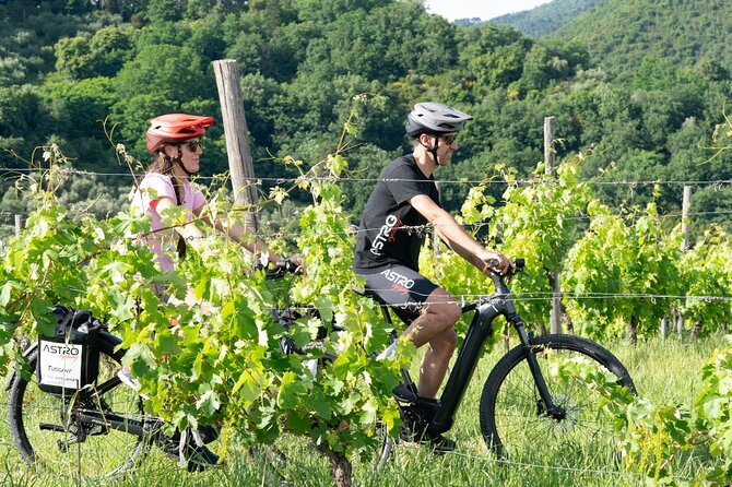 E-Bike Tour With Tasting in Lucca Review - Key Points