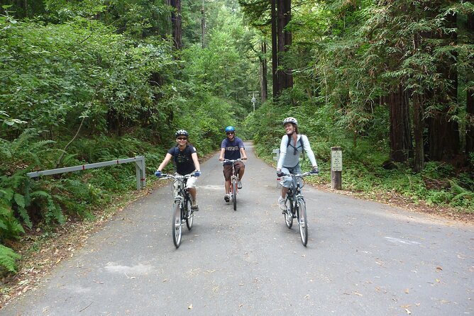 E.Bike Tours Around Heidelberg - Starting Price and Guarantee