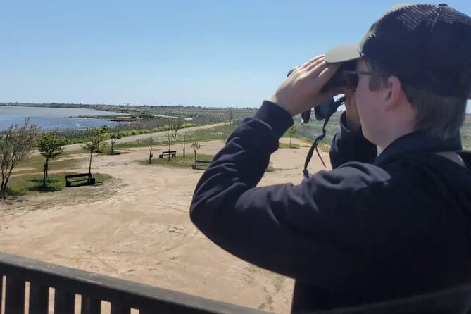 Ebro Delta Guided Tour Review - Key Points